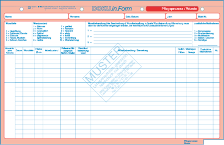 Pflegeprozess / Wunde