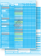 Pflegeplan/-nachweis/PPR 2.0