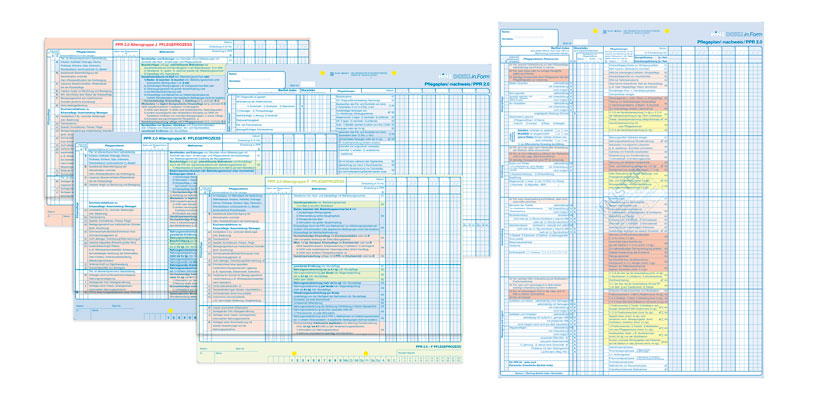 Ein Formular von PPR 2.0, welches Auszüge von beiden Seiten zeigt.