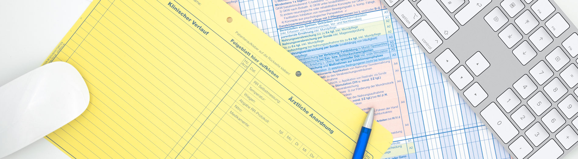 Header mit verschiedenfarbigen Formularen.